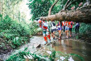 BIB: 
                            <button type="button" onclick="openModal(25515304)" class="btn btn-primary btn-sm float-right btn-popup" data-toggle="modal" data-target=".modal-high-quality">
                        <i class="fas fa-shopping-cart"></i> Add to Cart
                    </button>
                                            <button type="button" onclick="isThisMe(25515304, true)" class="btn btn-success btn-sm float-right btn-popup btn-isme hidden" data-toggle="tooltip" data-placement="bottom" title="นี่คือรูปของคุณใช่ไหม คลิกที่นี่เพื่อเอาเข้าอัลบั้ม">
                        <i class="fas fa-plus"></i> Add to album
                    </button>
                    <button type="button" onclick="isThisMe(25515304, false)" class="btn btn-warning btn-sm float-right btn-popup btn-isnotme hidden">
                        <i class="fas fa-ban"></i> Remove from album
                    </button>